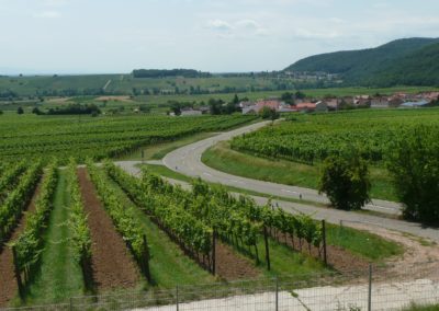 Pfalz-Motorrad-Tour 2011