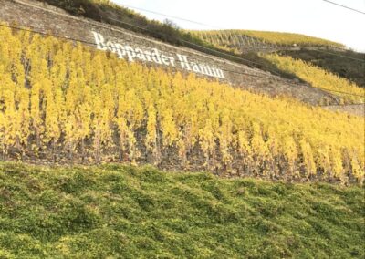 Goldener Saisonabschluss – 08. (07.)-11. Oktober 2026